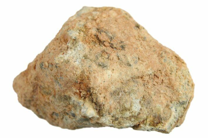 Lunar Meteorite ( g) - Bechar #288472